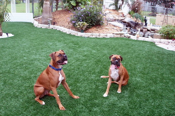 Pet Turf and Surfaces in Wisconsin