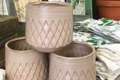 Unique Planters for Houseplants in Appleton, WI