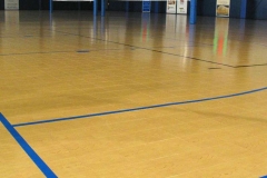 Vande Hey Company Indoor Basketball Court