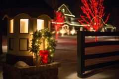 Seasonal holiday decor and outdoor lighting in Wisconsin