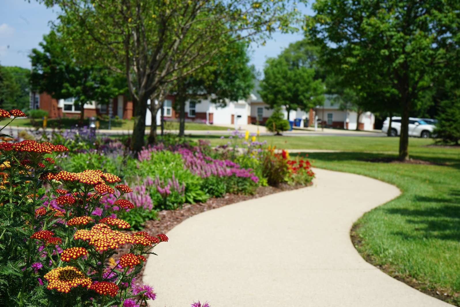 Annual and Perennial Beds in Appleton, WI