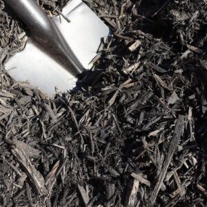 Shredded Chocolate Dyed Mulch