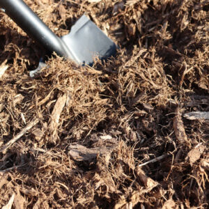 Shredded Hardwood Mulch